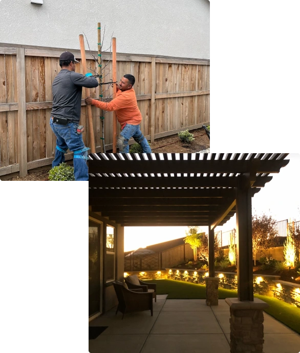 Natural Landscaping project image